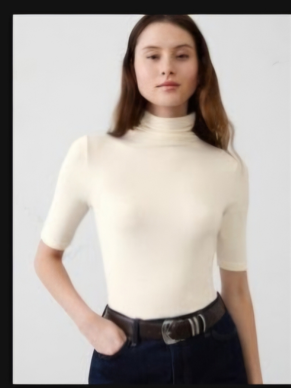 Banana Republic Soft Luxe Turtleneck Top Snow Day L